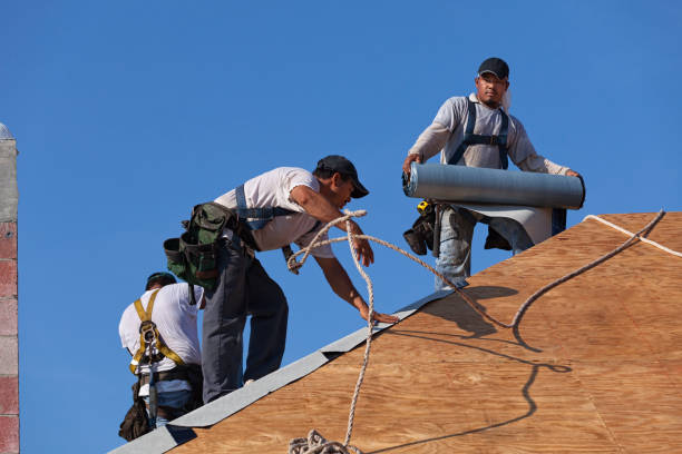 Professional Roofing Contractor in Shadybrook, TX