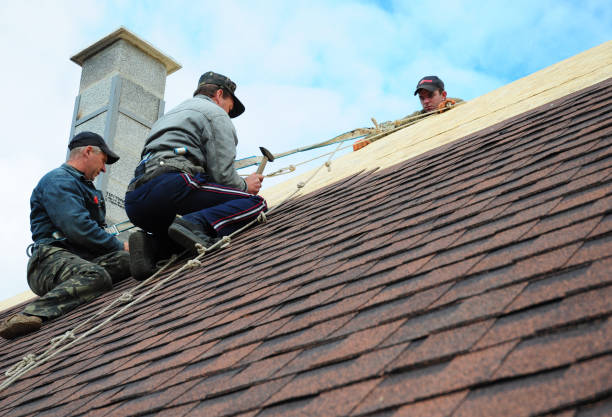 Quick and Trustworthy Emergency Roof Repair Services in Shadybrook, TX